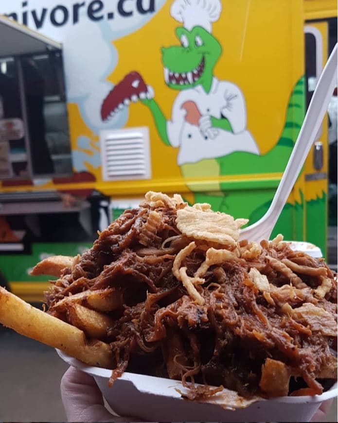 Pulled meat poutine close-up